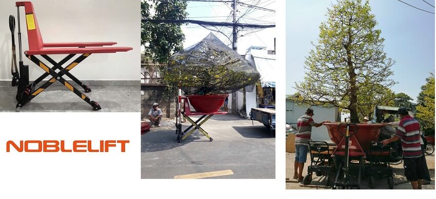 ban nang chau canh